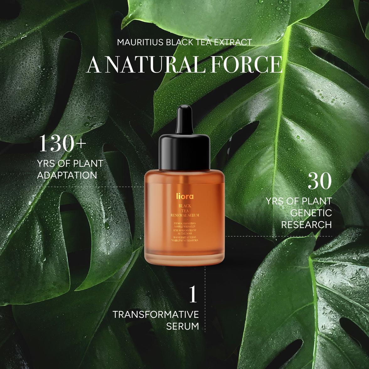 Black Tea Renewal Serum